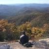 joe_sciandra